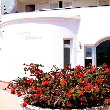 Aviator Tenerife 2 公寓 *